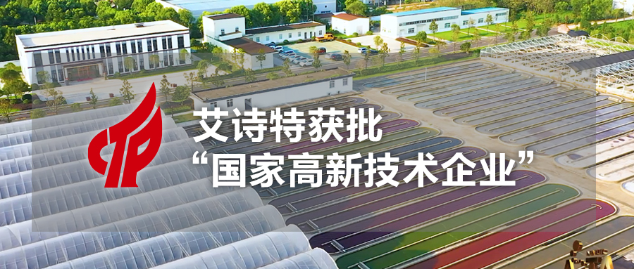 艾詩特蝦青素 艾詩特蝦青素