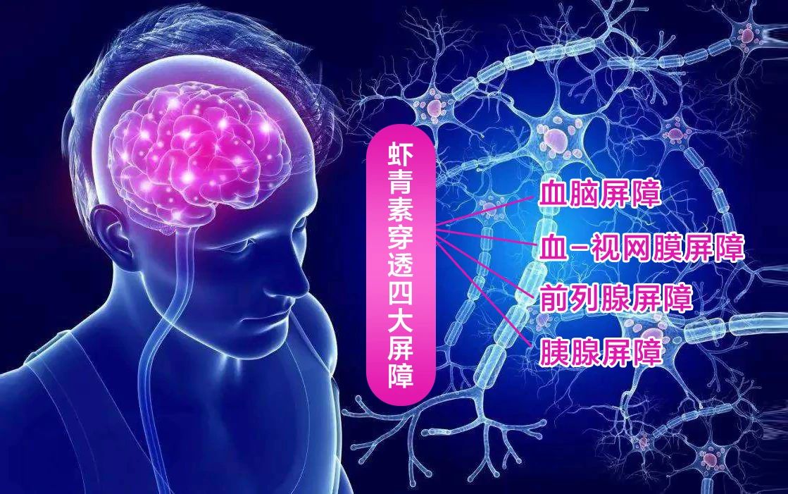 艾詩(shī)特蝦青素