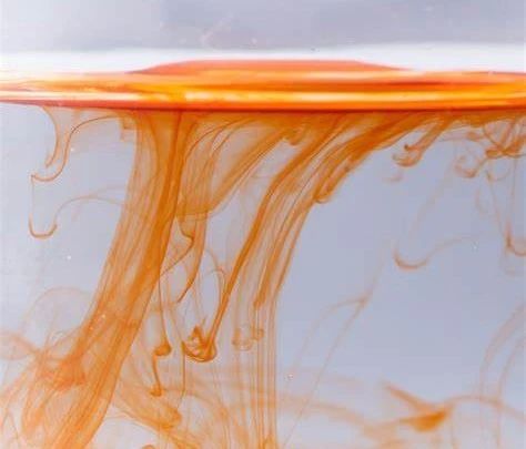 艾詩特蝦青素 艾詩特蝦青素