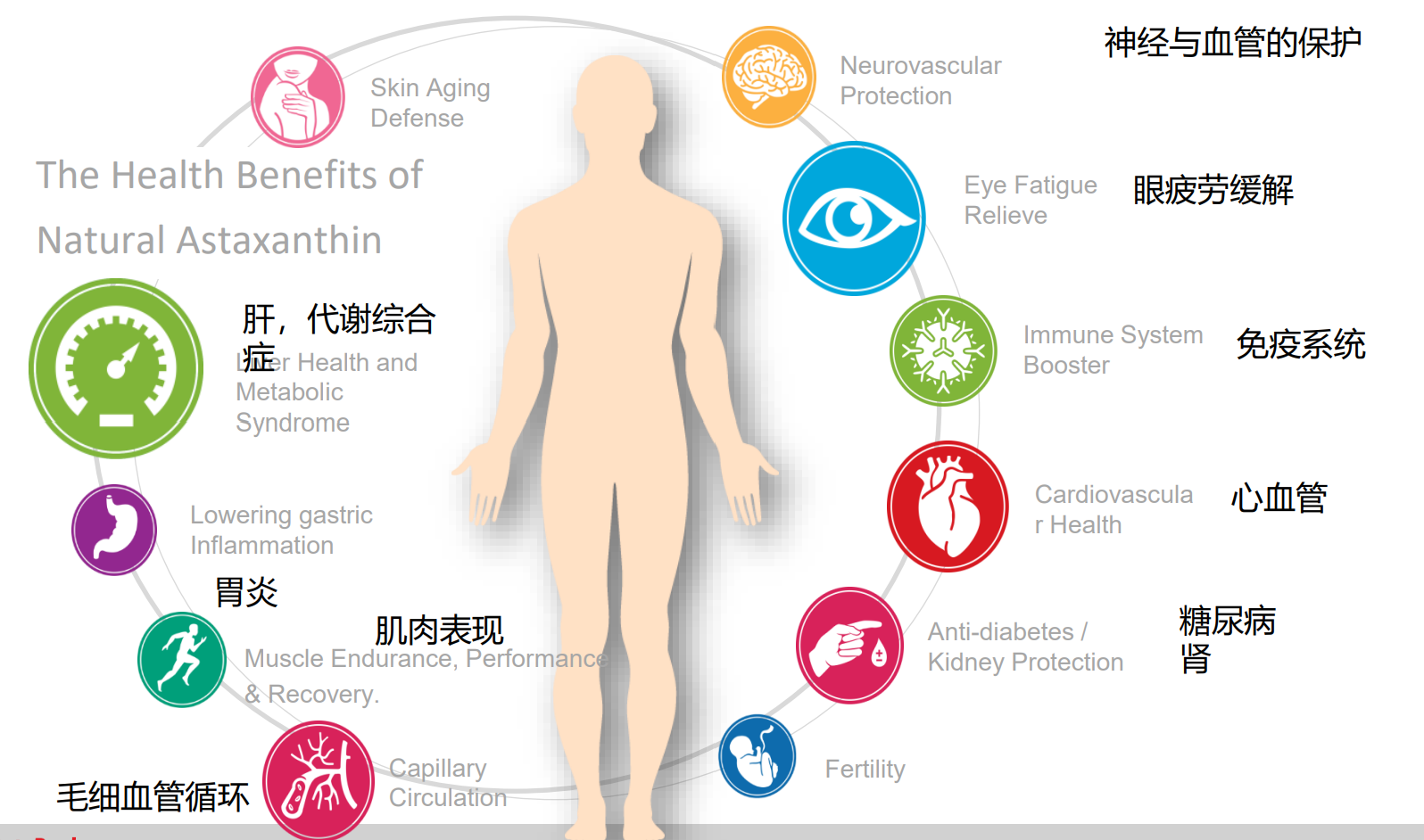 艾詩特蝦青素 艾詩特蝦青素