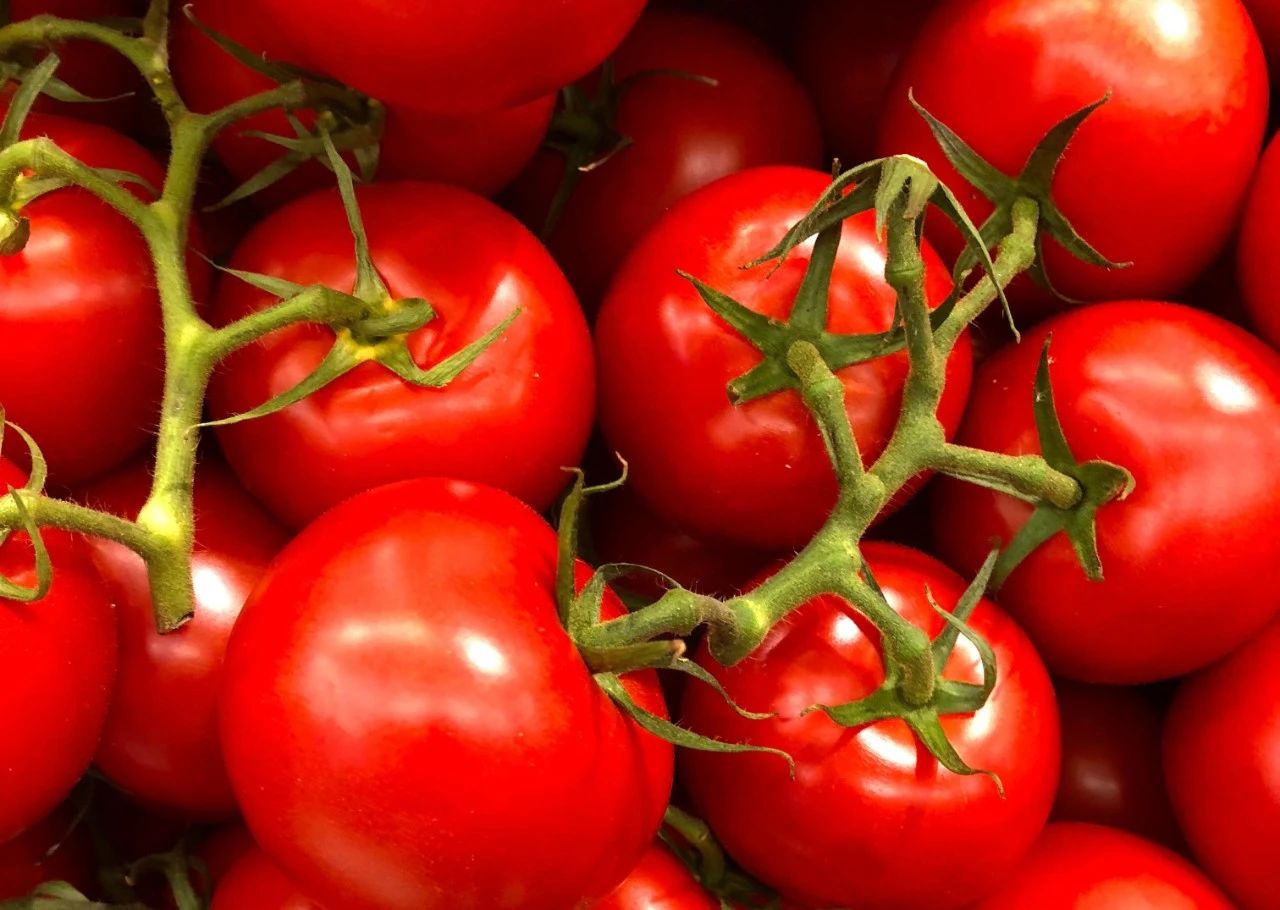 艾詩特蝦青素 艾詩特蝦青素