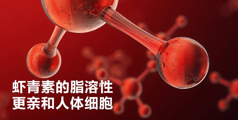 艾詩特蝦青素 艾詩特蝦青素