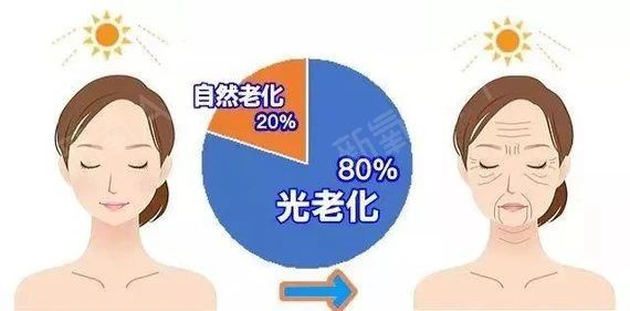 艾詩(shī)特蝦青素 艾詩(shī)特蝦青素