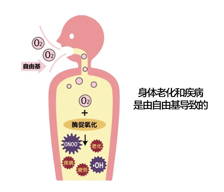艾詩特蝦青素 艾詩特蝦青素