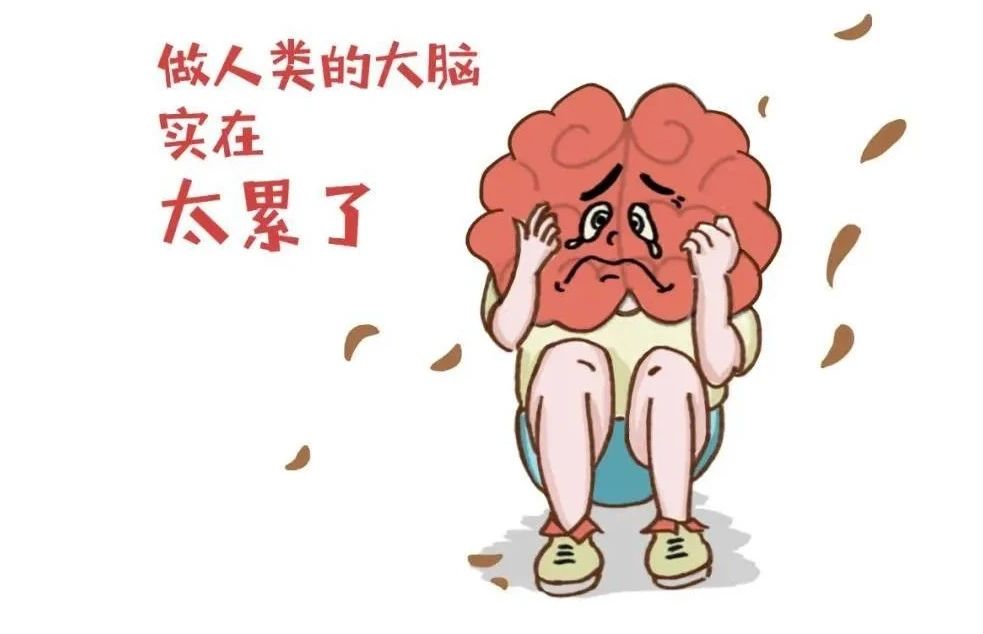 艾詩特蝦青素 艾詩特蝦青素