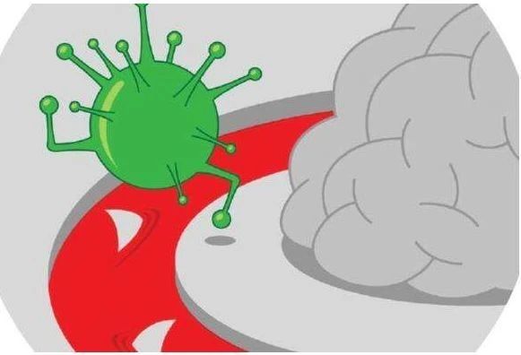 艾詩特蝦青素 艾詩特蝦青素