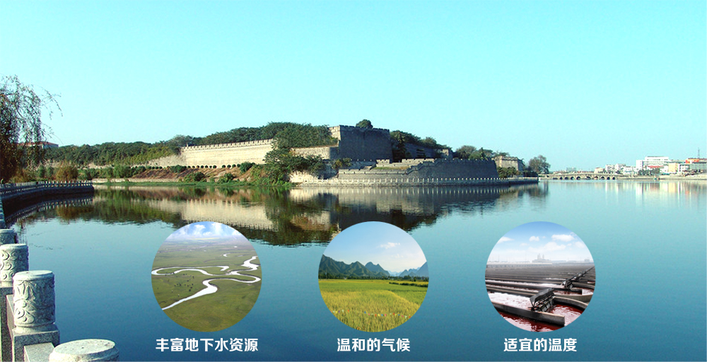 艾詩(shī)特蝦青素