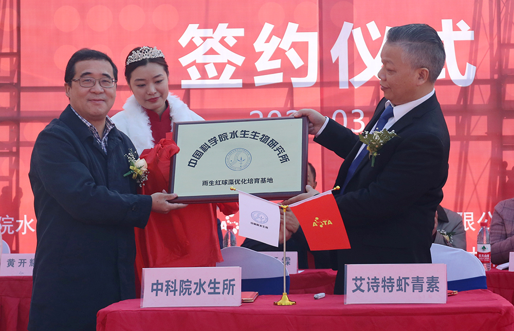 艾詩(shī)特蝦青素