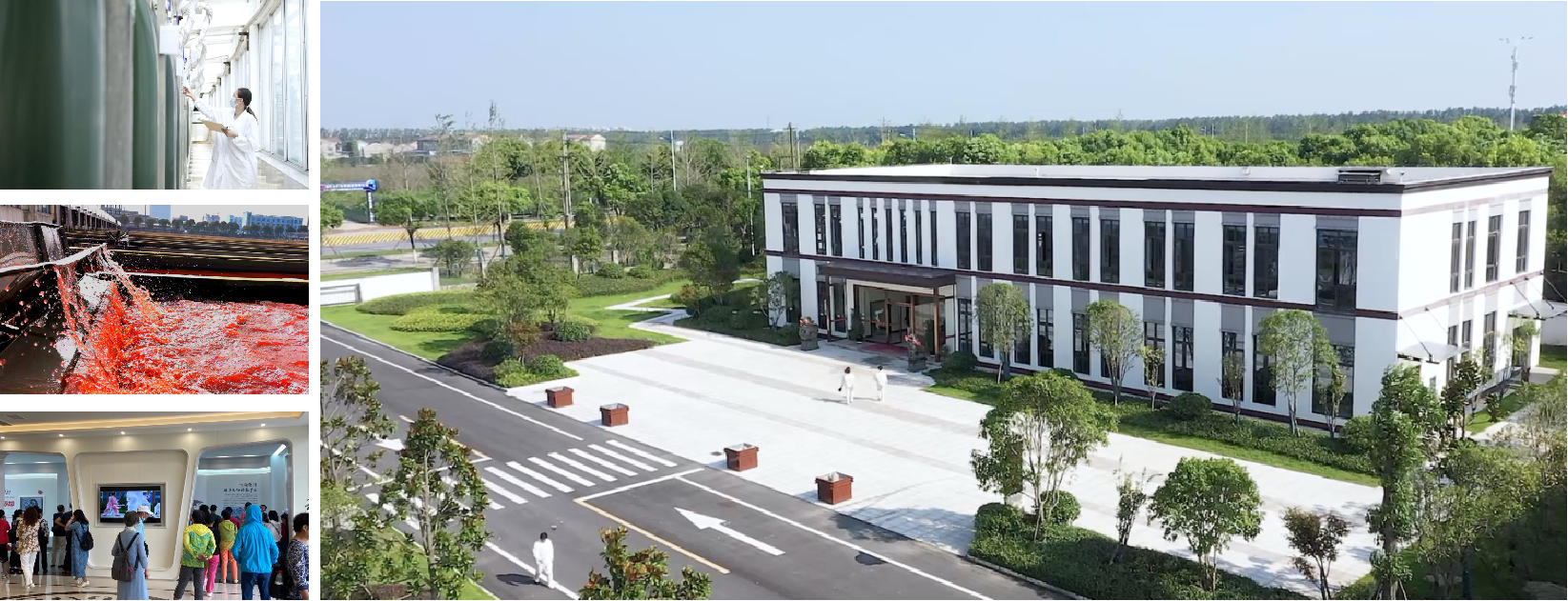 艾詩(shī)特蝦青素