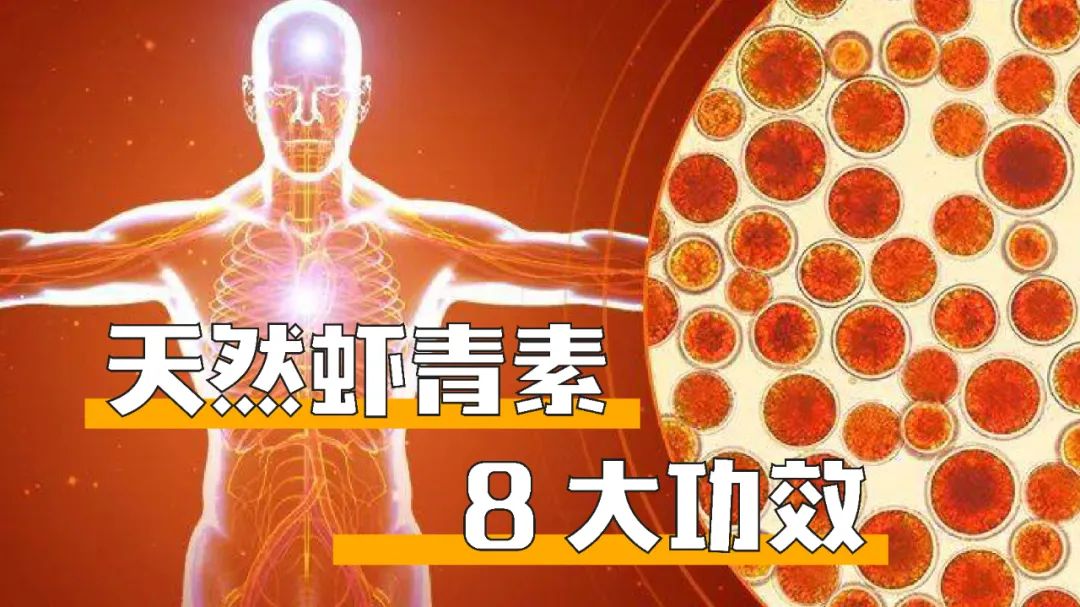 艾詩特蝦青素 艾詩特蝦青素