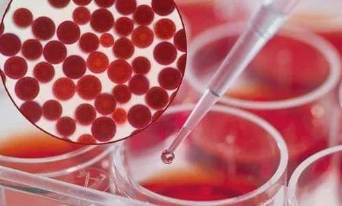 艾詩(shī)特蝦青素 艾詩(shī)特蝦青素