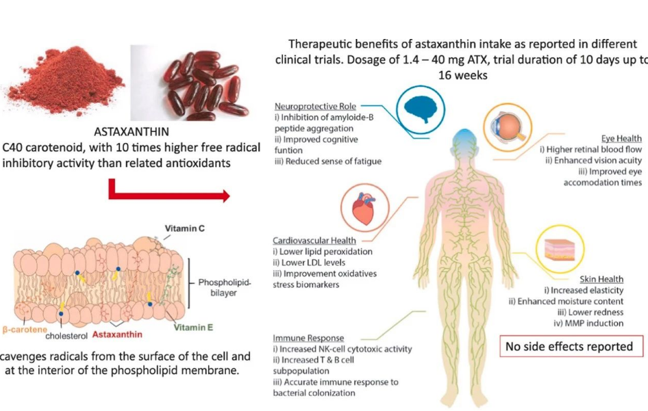 艾詩(shī)特蝦青素 艾詩(shī)特蝦青素