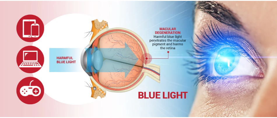 艾詩(shī)特蝦青素
