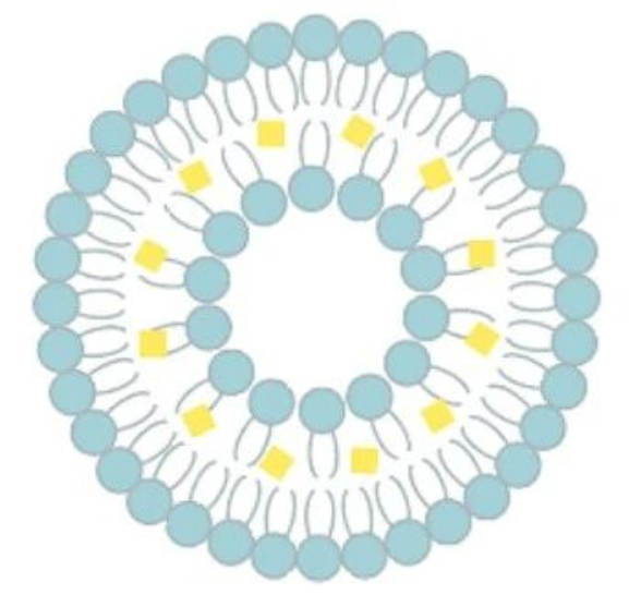 艾詩特蝦青素 艾詩特蝦青素