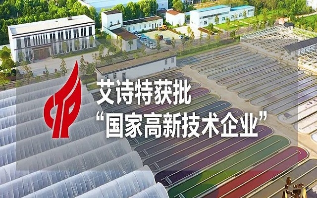 【喜訊】艾詩特成功獲批“國家高新技術(shù)企業(yè)”