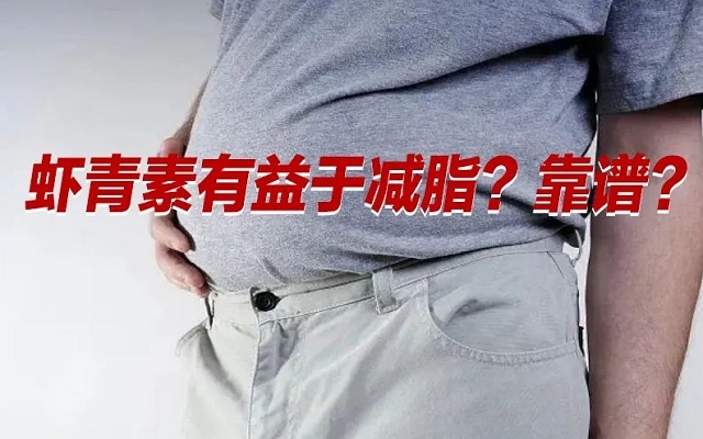 【冷知識(shí)】肥胖居然是一種炎癥！蝦青素有益于“消炎”？